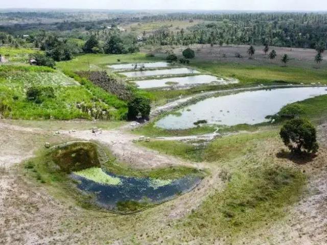 Sítio e chácara venda em Região Geográfica Imediata de Natal, Monte Alegre