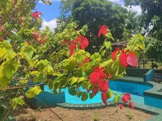 Sítio e chácara venda em Região Geográfica Imediata de Natal, Monte Alegre