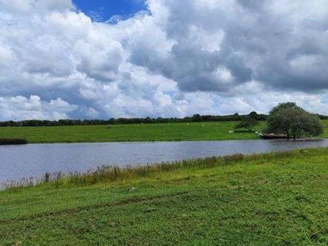 Sítio e chácara venda em Monte Alegre