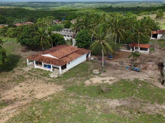 Sítio e chácara venda em Região Geográfica Imediata de Natal, Monte Alegre