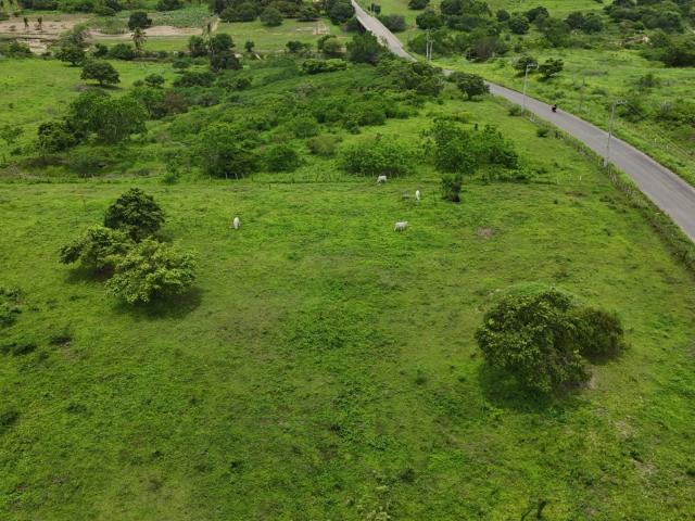 Sítio e chácara venda em Monte Alegre