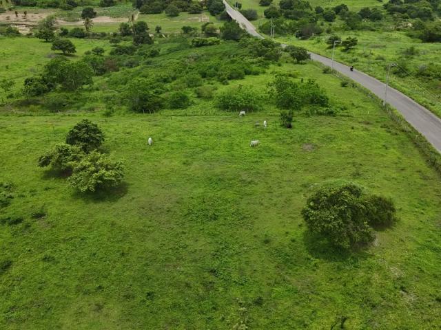 Sítio e chácara venda em Região Geográfica Imediata de Natal, Monte Alegre