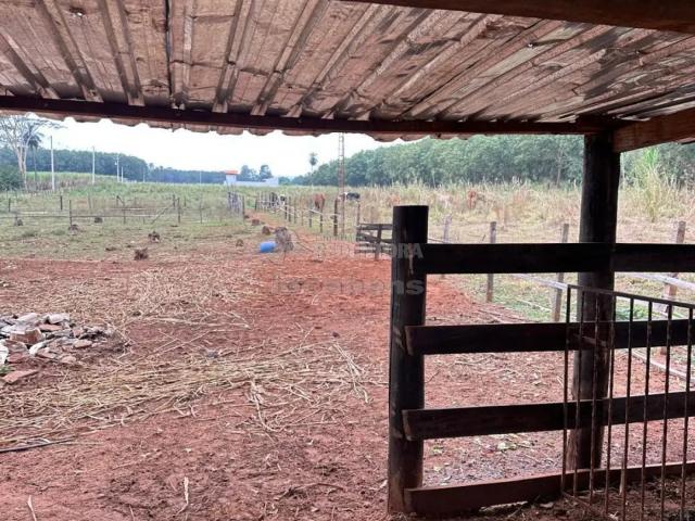 Sítio e chácara venda em Monte Aprazível, Região Geográfica Intermediária de São José do Rio Preto