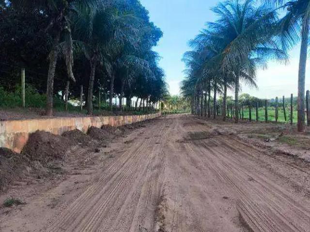 Sítio e chácara venda em Região Imediata de São José do Rio Preto, Região Metropolitana de São José do Rio Preto