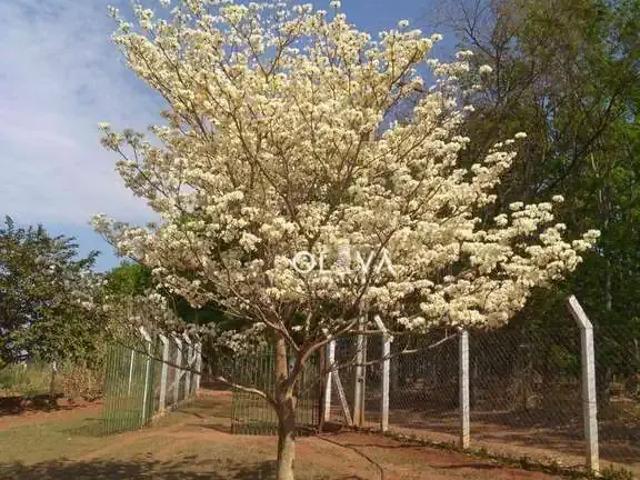 Sítio e chácara venda em Região Imediata de São José do Rio Preto, Região Metropolitana de São José do Rio Preto