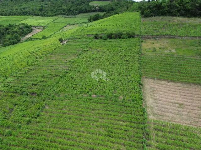 Sítio e chácara venda em Região Geográfica Imediata de Bento Gonçalves, Monte Belo do Sul