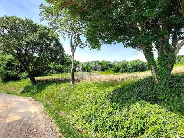 Sítio e chácara venda em Região Geográfica Imediata de Bento Gonçalves, Bento Gonçalves