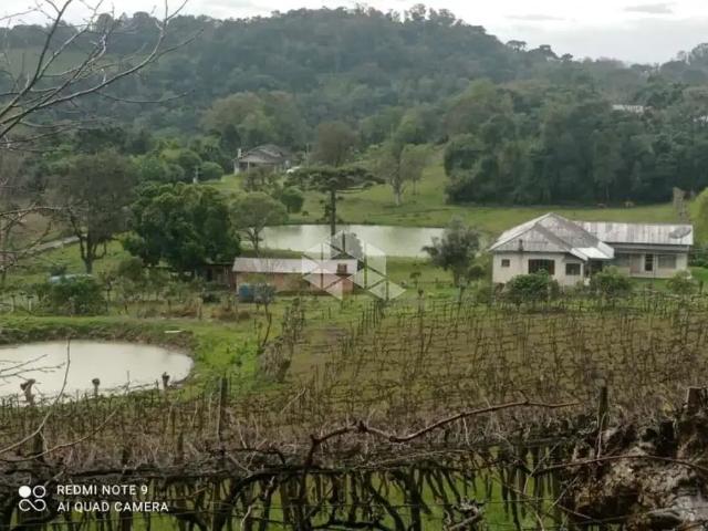 Sítio e chácara venda em Monte Belo do Sul