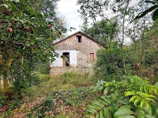 Sítio e chácara venda em Região Geográfica Imediata de Bento Gonçalves, Monte Belo do Sul