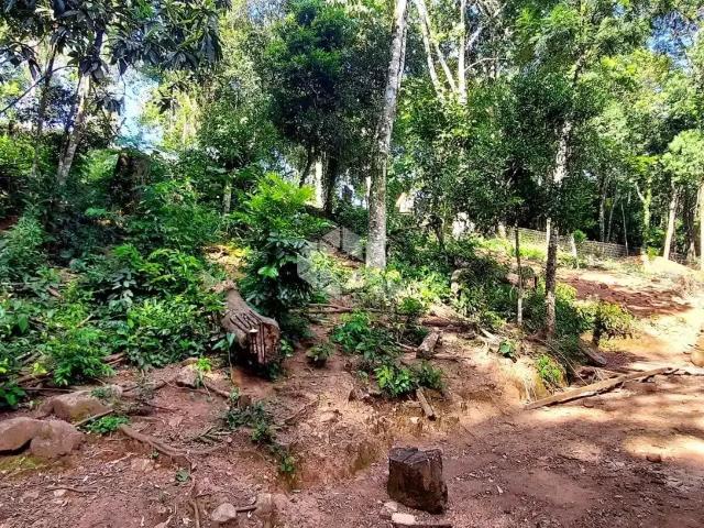 Sítio e chácara venda em Monte Belo do Sul