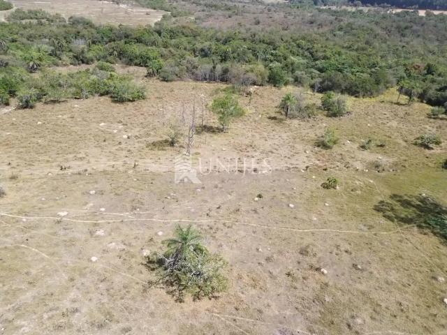 Sítio e chácara venda em Vila Nova, Monte Carmelo