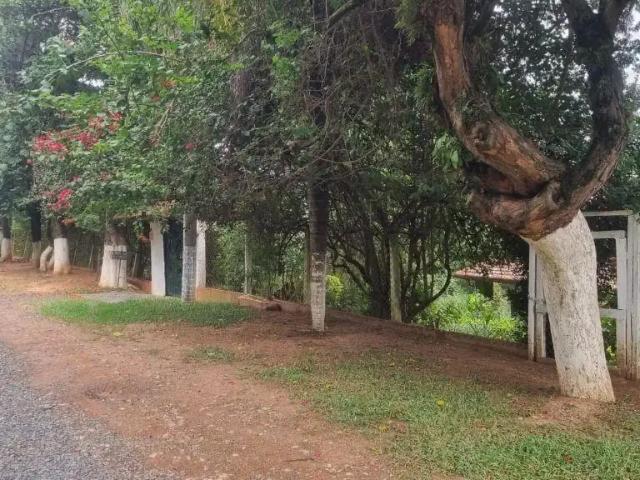 Sítio e chácara venda em Região Imediata de Campinas, Região Metropolitana de Campinas