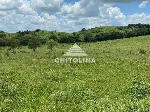 Sítio e chácara venda em Região Imediata de Campinas, Região Metropolitana de Campinas