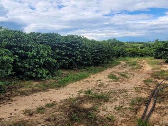 Sítio e chácara venda em Região Imediata de Campinas, Região Metropolitana de Campinas