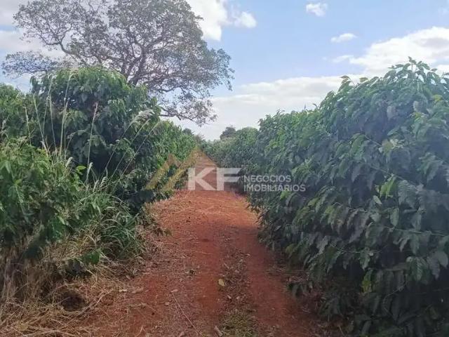 Sítio e chácara venda em Região Geográfica Imediata de São Sebastião do Paraíso, Monte Santo de Minas