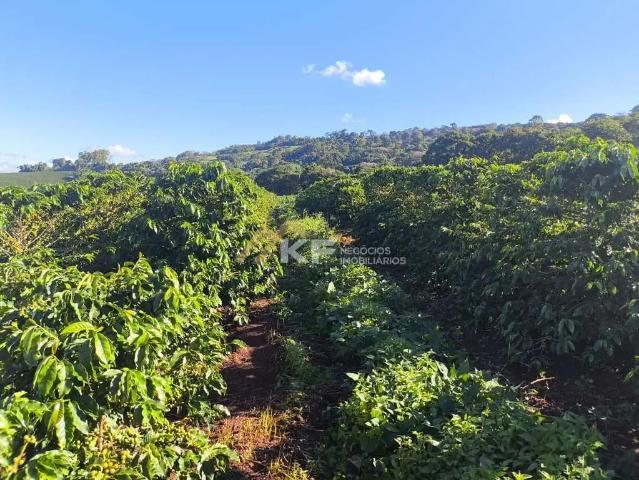 Sítio e chácara venda em Região Geográfica Imediata de São Sebastião do Paraíso, Monte Santo de Minas