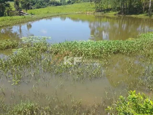 Sítio e chácara venda em Região Geográfica Imediata de São Sebastião do Paraíso, Monte Santo de Minas