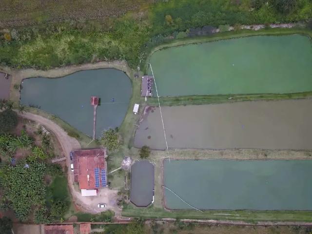 Sítio e chácara venda em Região Geográfica Imediata de Pouso Alegre, Monte Sião