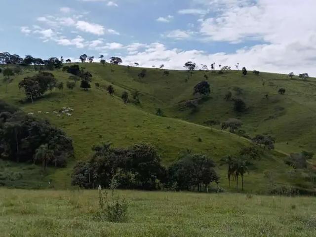 Sítio e chácara venda em Região Imediata de São José do Rio Pardo-Mococa, Região Metropolitana de Ribeirão Preto