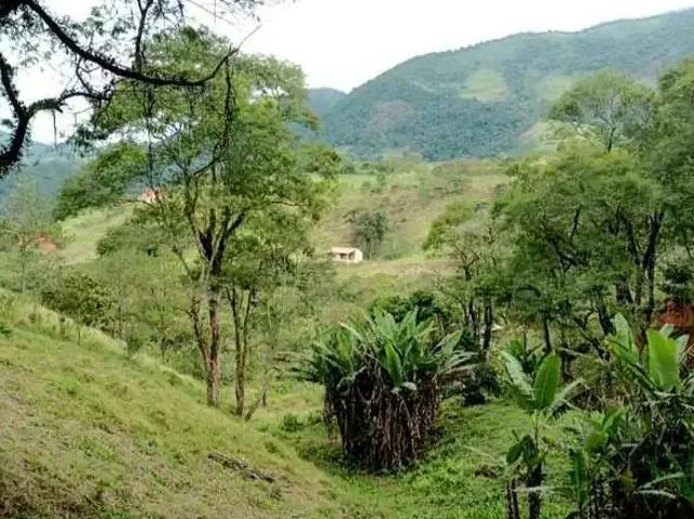Sítio e chácara venda em Região Imediata de São José dos Campos, Região Metropolitana do Vale do Paraíba e Litoral Norte