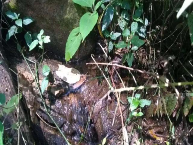 Sítio e chácara venda em Região Imediata de São José dos Campos, Região Metropolitana do Vale do Paraíba e Litoral Norte