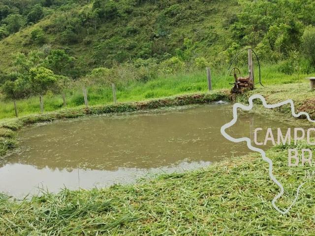 Sítio e chácara venda em Vila São Sebastião, Monteiro Lobato