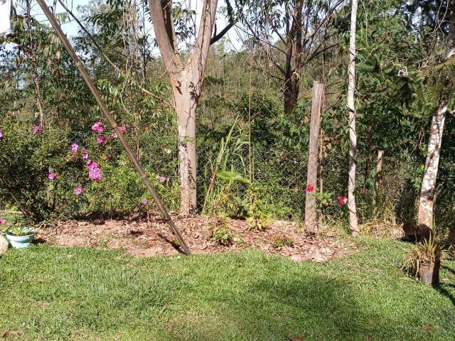 Sítio e chácara venda em Vila São Sebastião, Monteiro Lobato