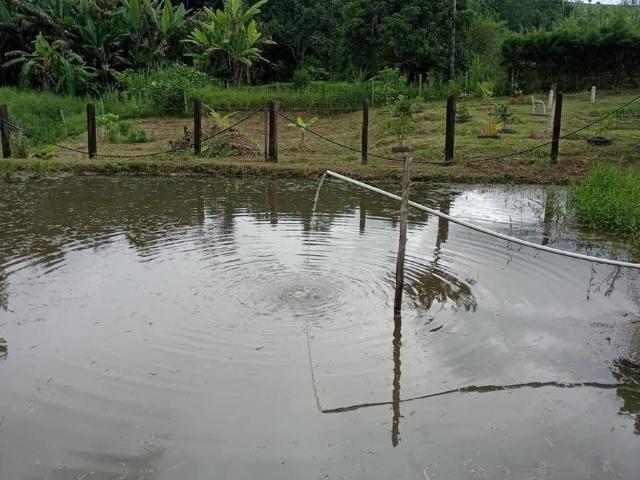 Sítio e chácara venda em Vila São Sebastião, Monteiro Lobato