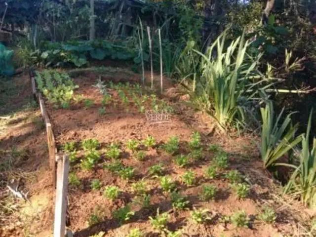 Sítio e chácara venda em Região Imediata de Ribeirão Preto, Região Metropolitana de Ribeirão Preto