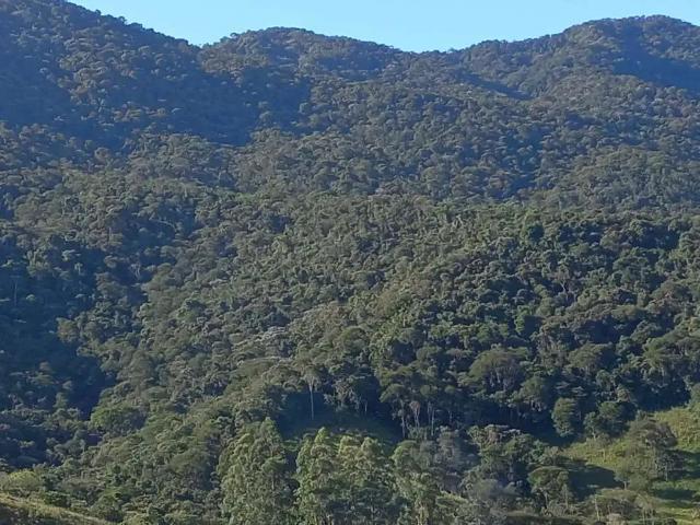 Sítio e chácara venda em Região Imediata de São José dos Campos, Região Metropolitana do Vale do Paraíba e Litoral Norte