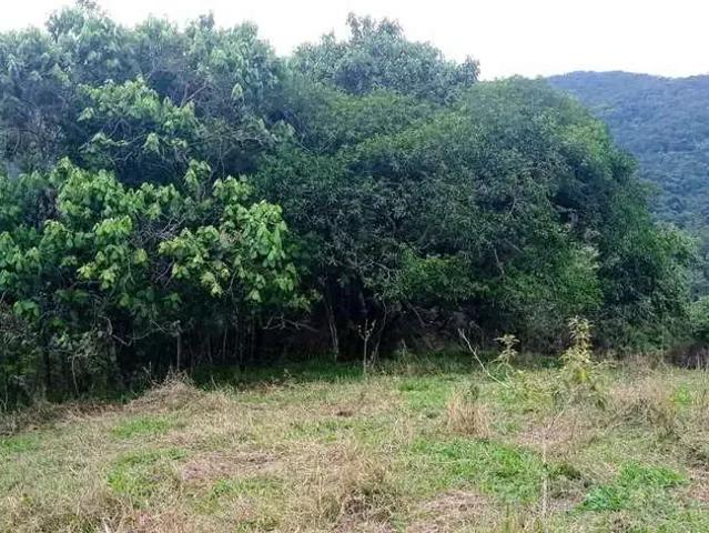 Sítio e chácara venda em Região Imediata de São José dos Campos, Região Metropolitana do Vale do Paraíba e Litoral Norte