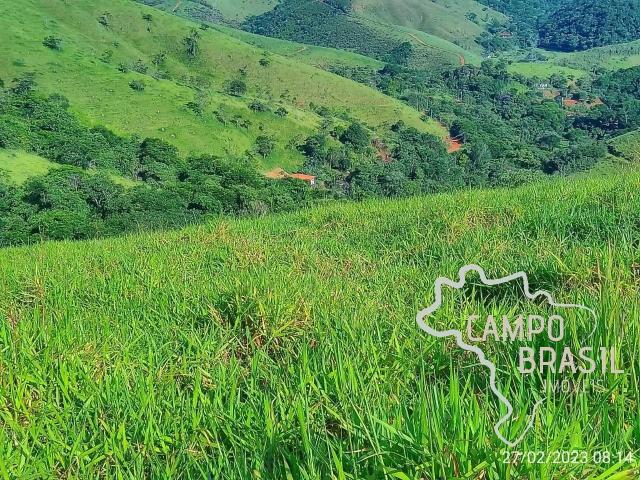 Sítio e chácara venda em Araraquara