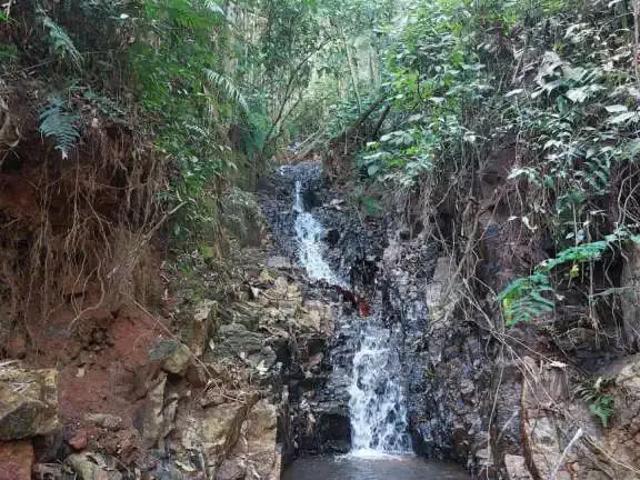 Sítio e chácara venda em Região Imediata de Ribeirão Preto, Região Metropolitana de Ribeirão Preto