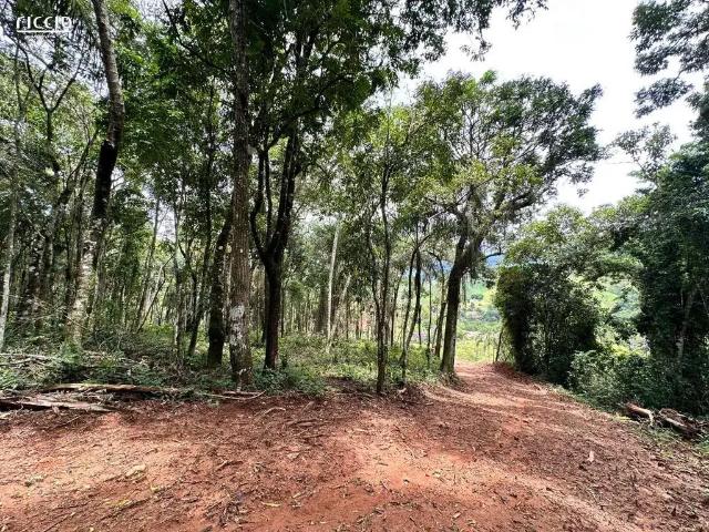 Sítio e chácara venda em Região Imediata de São José dos Campos, Região Metropolitana do Vale do Paraíba e Litoral Norte