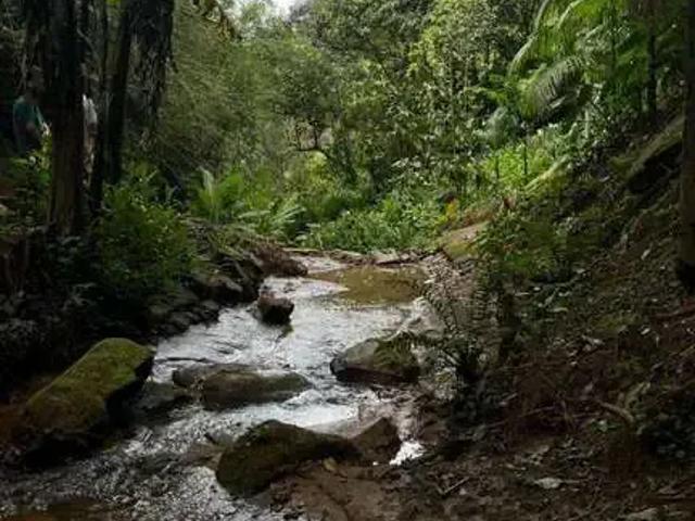 Sítio e chácara venda em Região Imediata de São José dos Campos, Região Metropolitana do Vale do Paraíba e Litoral Norte