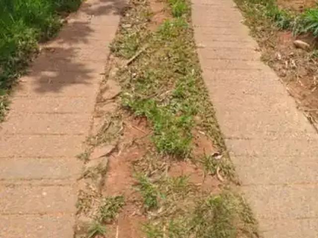 Sítio e chácara venda em Região Imediata de São José dos Campos, Região Metropolitana do Vale do Paraíba e Litoral Norte