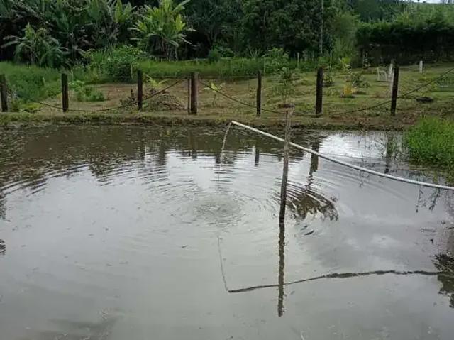 Sítio e chácara venda em Região Imediata de São José dos Campos, Região Metropolitana do Vale do Paraíba e Litoral Norte