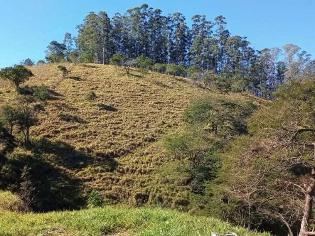 Sítio e chácara venda em Vila São Sebastião, Monteiro Lobato