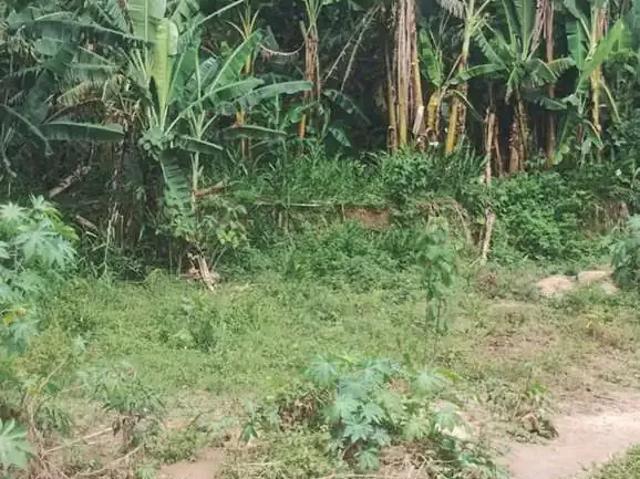 Sítio e chácara venda em Região Imediata de São José dos Campos, Região Metropolitana do Vale do Paraíba e Litoral Norte