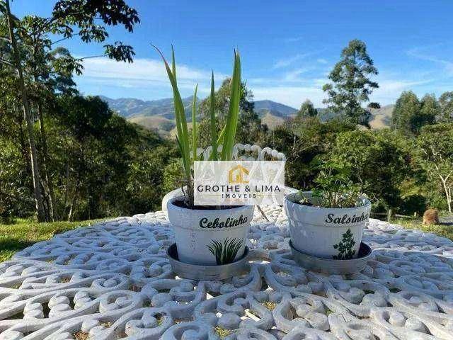 Sítio e chácara venda em Vila São Sebastião, Monteiro Lobato