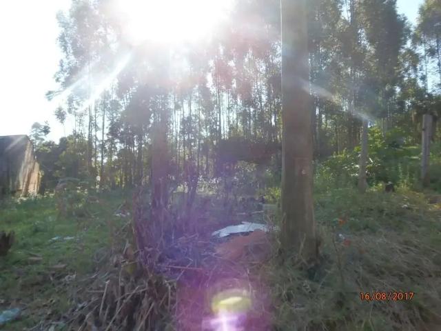 Sítio e chácara venda em Região Geográfica Imediata de Montenegro, Região Metropolitana de Porto Alegre