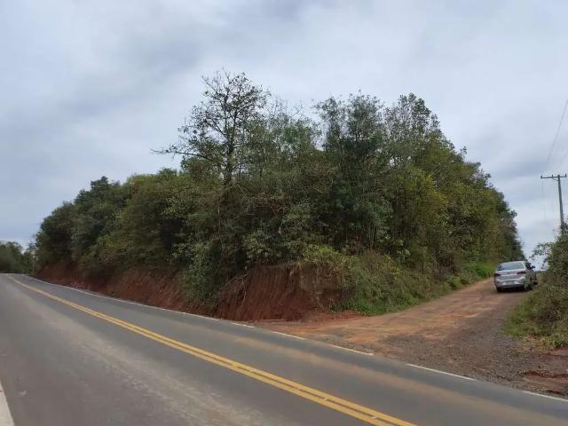 Sítio e chácara venda em Região Geográfica Imediata de Montenegro, Região Metropolitana de Porto Alegre