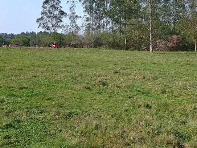 Sítio e chácara venda em Região Geográfica Imediata de Montenegro, Região Metropolitana de Porto Alegre