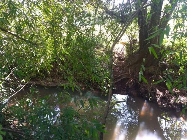 Sítio e chácara venda em Região Geográfica Imediata de Montenegro, Região Metropolitana de Porto Alegre