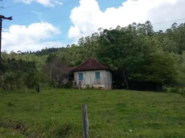 Sítio e chácara venda em Região Geográfica Imediata de Montenegro, Região Metropolitana de Porto Alegre