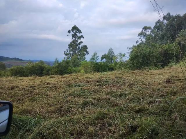 Sítio e chácara venda em Região Geográfica Imediata de Montenegro, Região Metropolitana de Porto Alegre