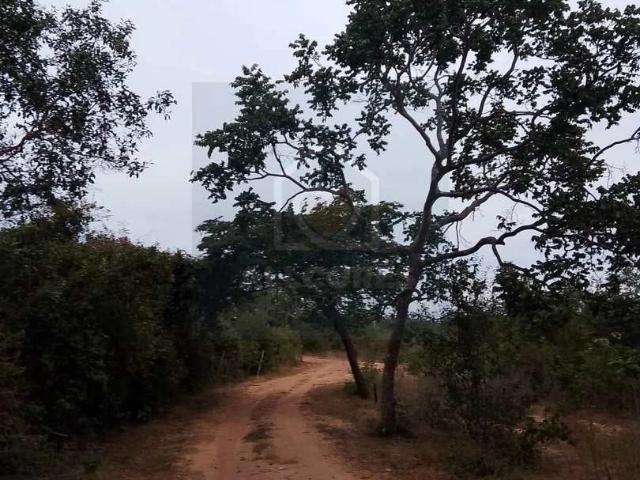 Sítio e chácara venda em Edgar Pereira, Montes Claros