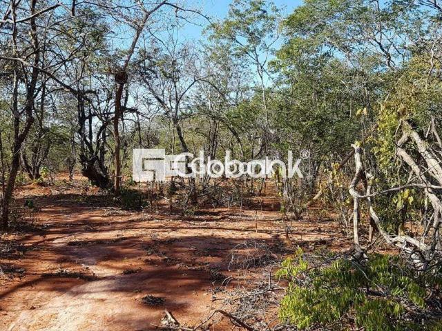Sítio e chácara venda em Montes Claros, Região Geográfica Intermediária de Montes Claros