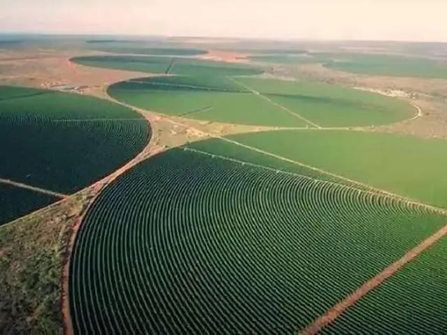 Sítio e chácara venda em Região Geográfica Imediata de Montes Claros, Montes Claros