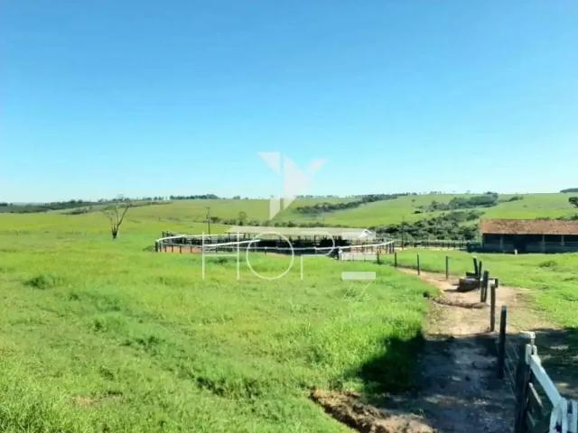 Sítio e chácara venda em Região Geográfica Imediata de Campo Mourão, Moreira Sales